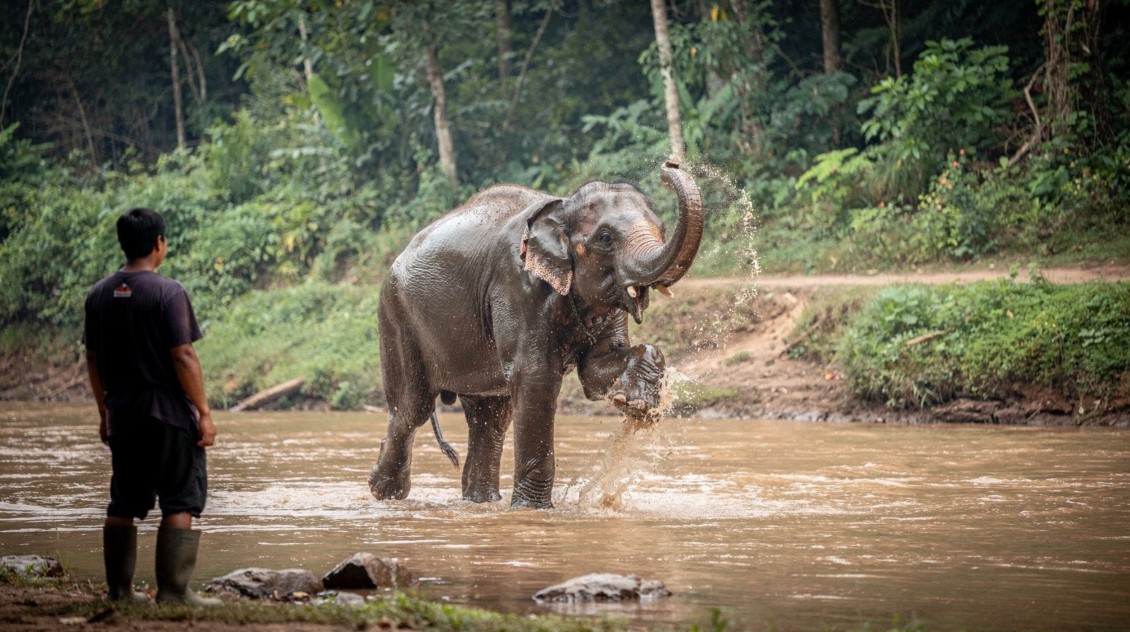 From Bangkok: Elephant Sanctuary and Kanchanaburi Tour